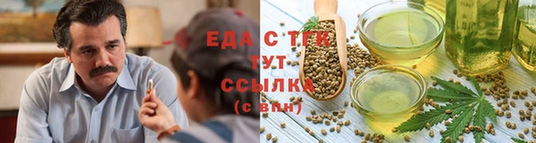 крисы Мегион