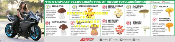 винт Надым