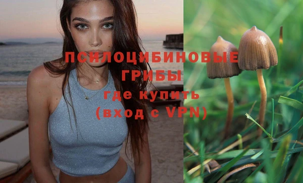 крисы Мегион