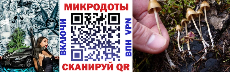 Купить  Пестово  Галлюциногенные грибы Cubensis 