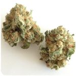 Шишки "White Widow"  (Белая вдова)  Гидропоника -  Бошка VHQ в Пестово